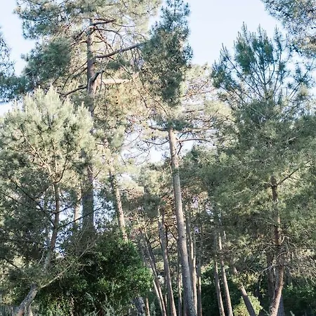 Avec Terrasse Pour 2 Ou 4 Personnes Classe 1 Etoile 公寓 比斯卡罗斯