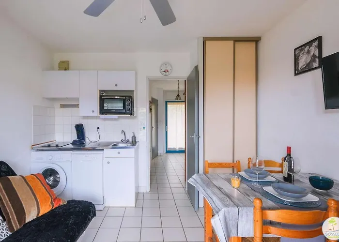 Avec Terrasse Pour 2 Ou 4 Personnes Classe 1 Etoile Appartement Biscarrosse